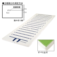 エバニュー(EVERNEW) E抗菌立ち幅跳び測定マット 受注生産品 (メーカー