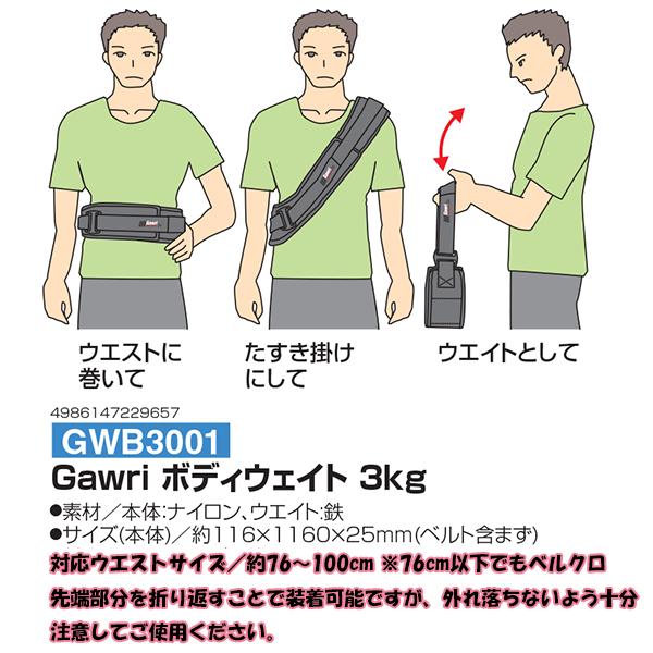 秦運動具工業(HATAS) Gawri ボディウェイト 3kg 重量調節式 | スポーツ