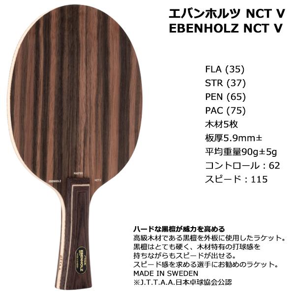 スティガ エバンホルツ NCT V台へのぶつけ等はありません - その他